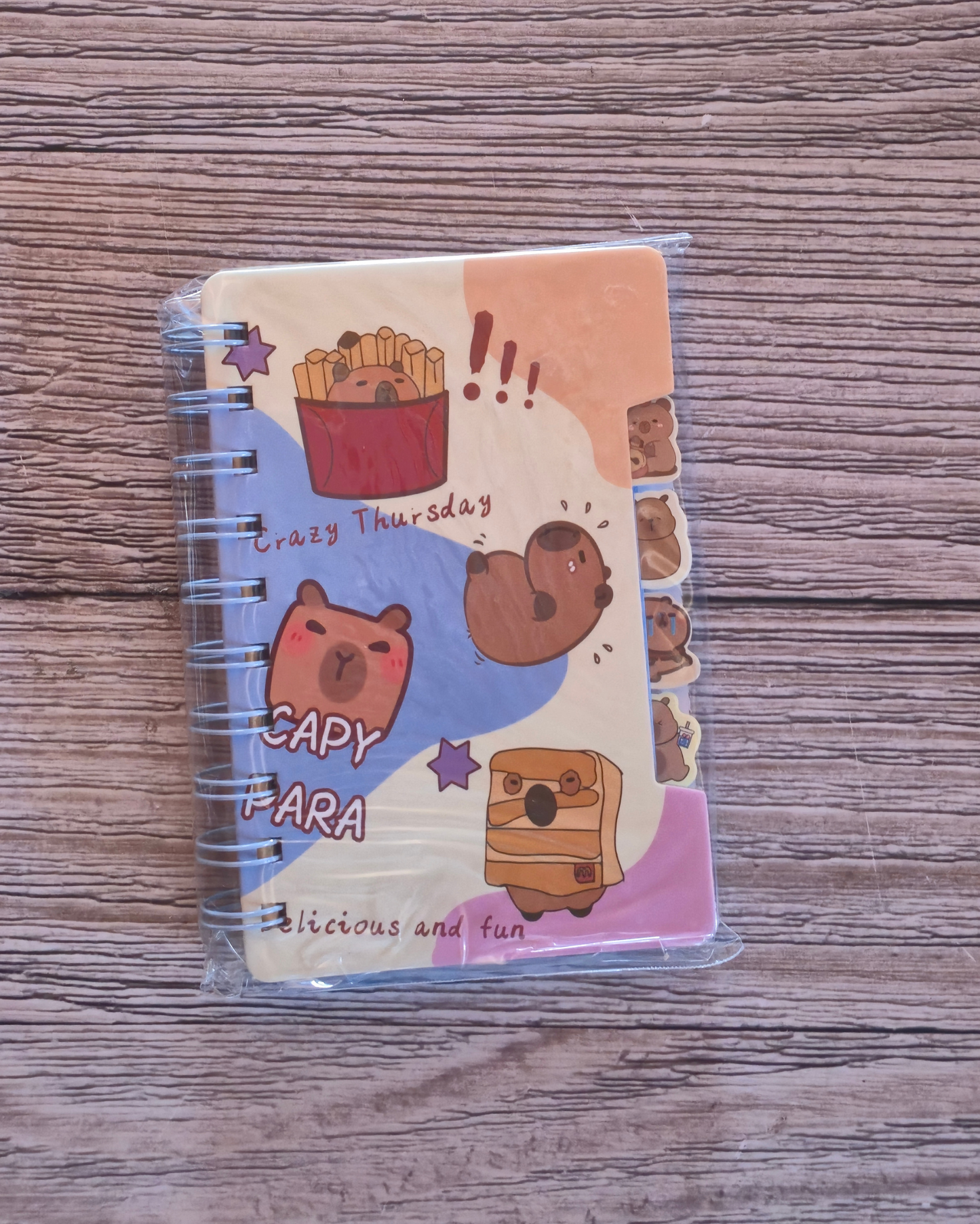 Cappybara A6 Tabbed Notebook- Randomly supplied