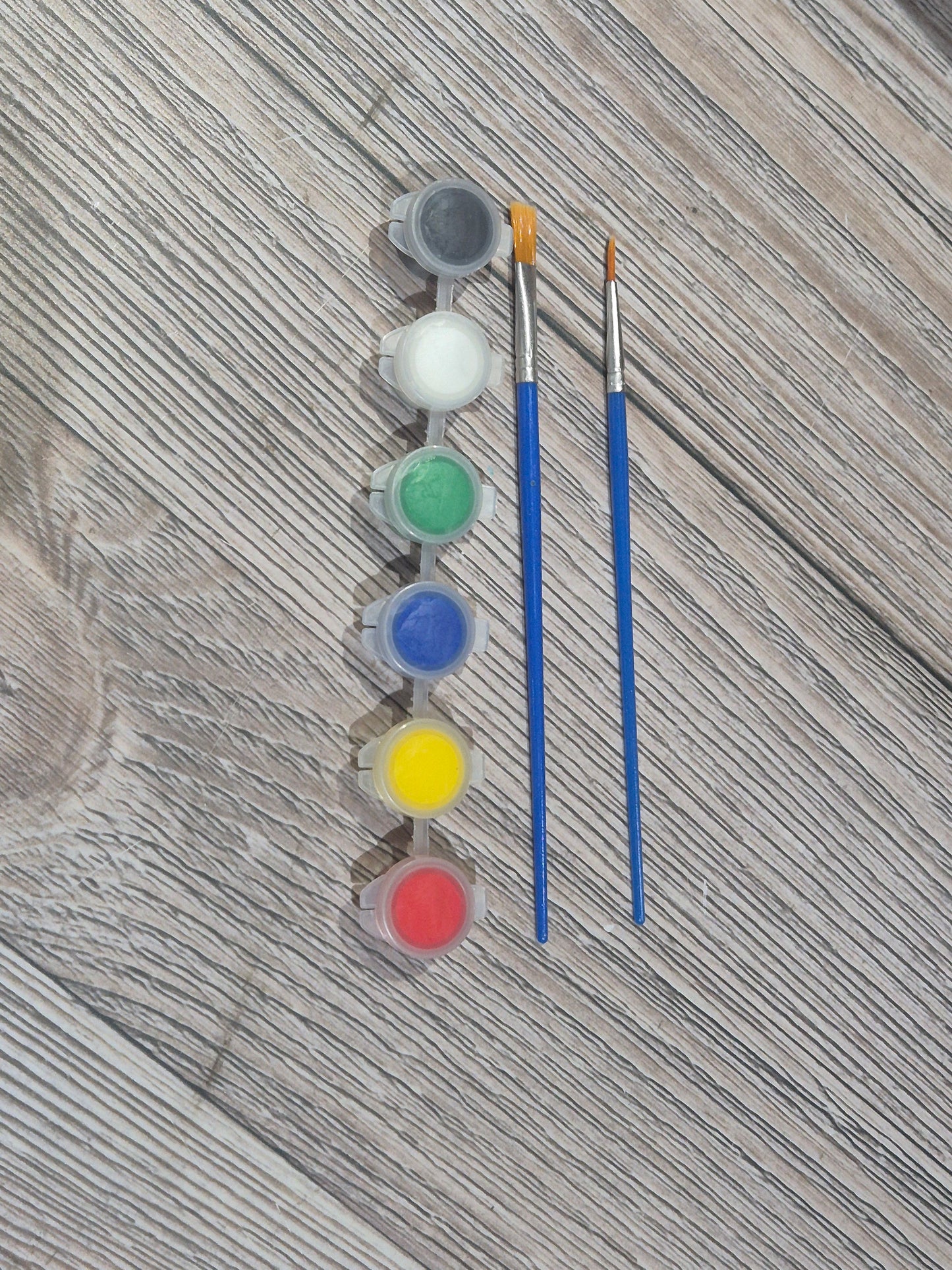 6 paint pots + 2 Brushes Kit