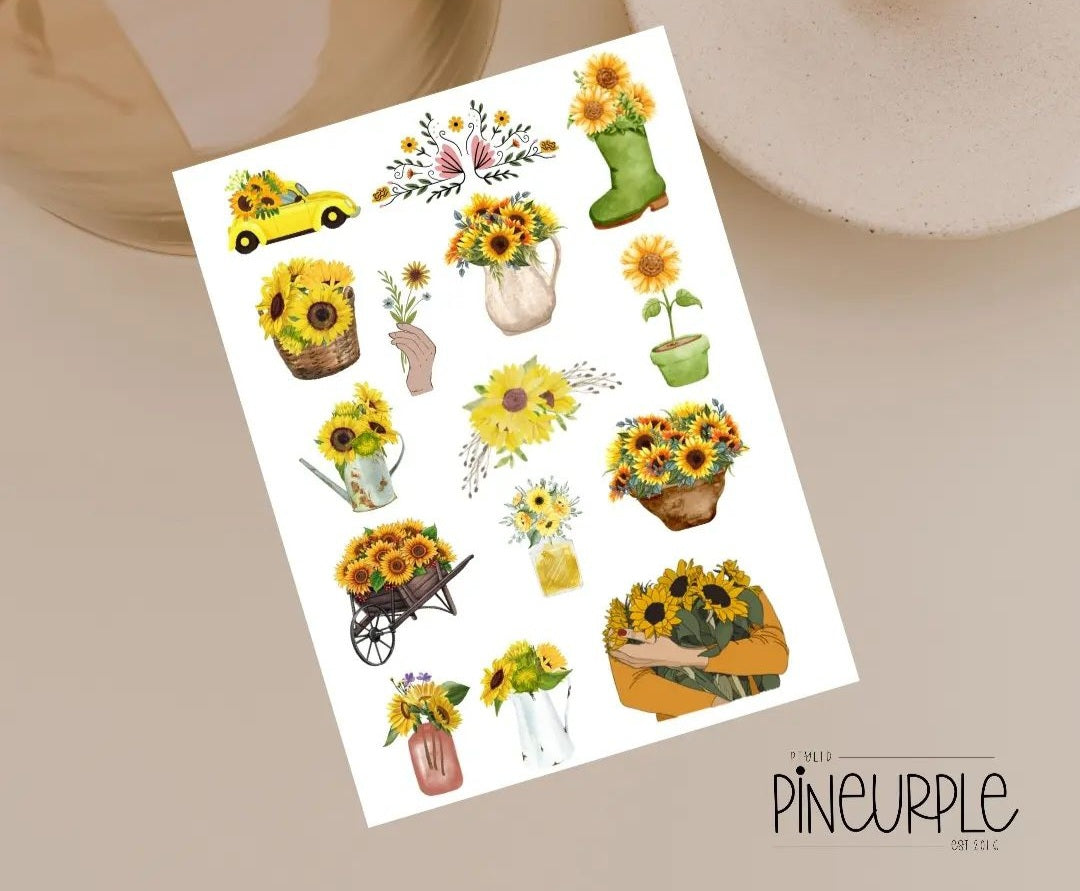 Sunflower variety