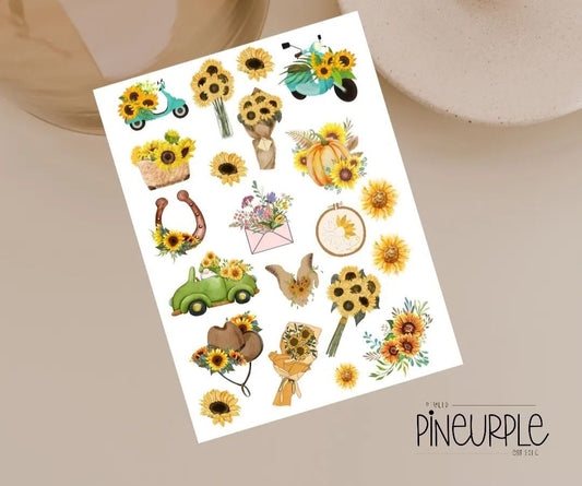 Sunflower variety