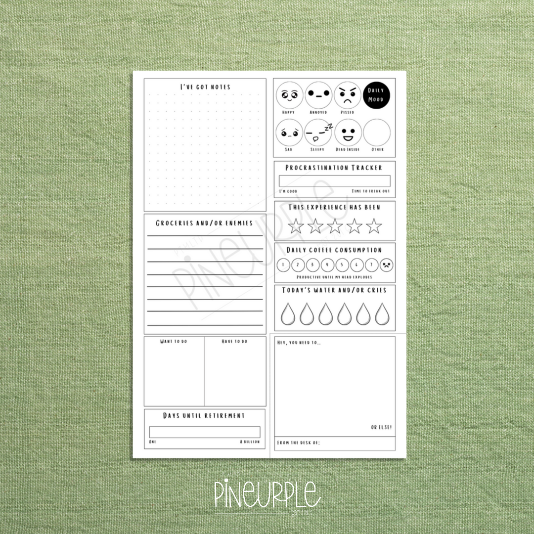 Productivity Sassy Memo Pad