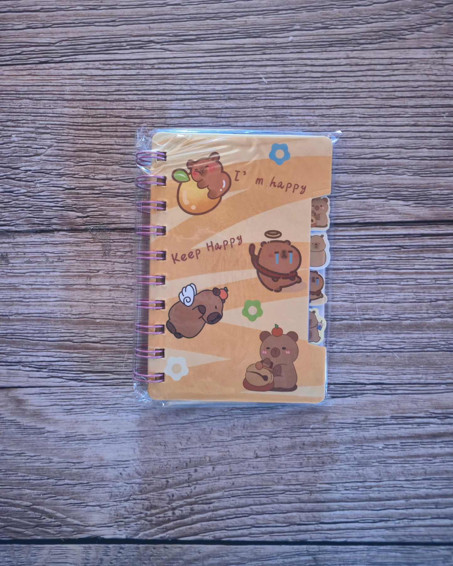 Cappybara A6 Tabbed Notebook- Randomly supplied