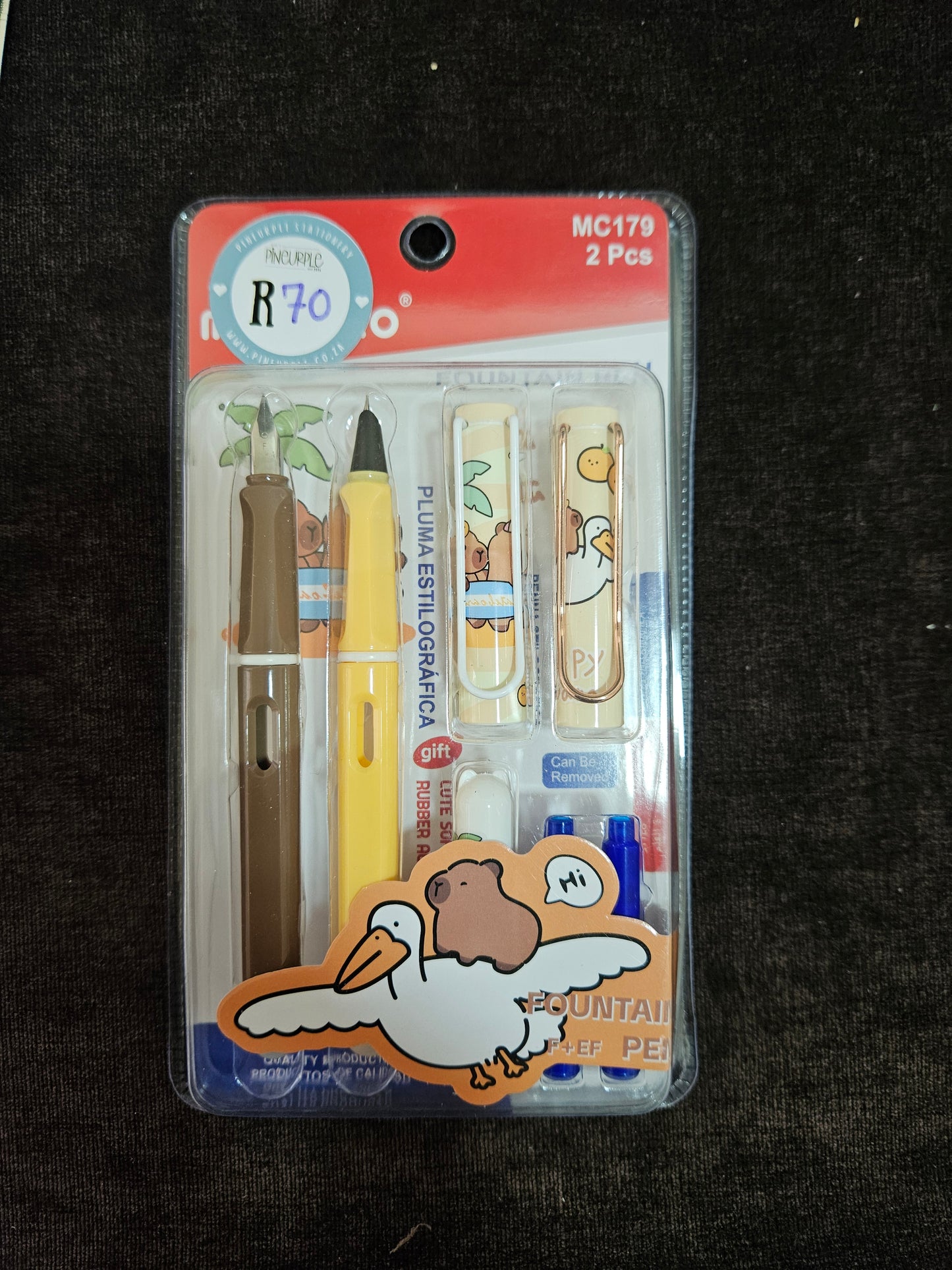 2pc Fountain Pen Set
