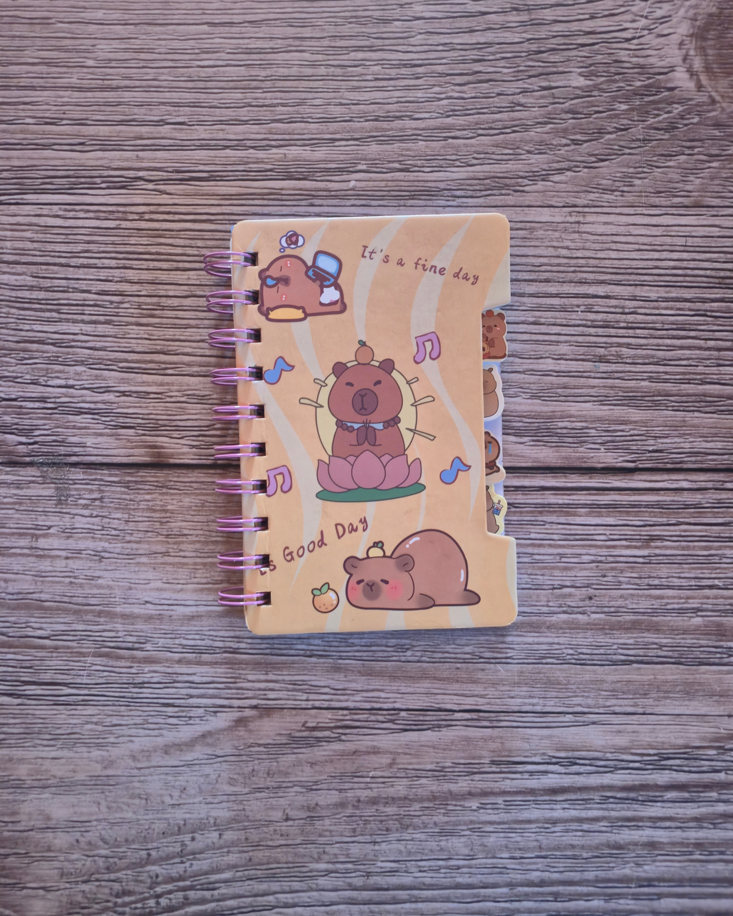 Cappybara A6 Tabbed Notebook- Randomly supplied