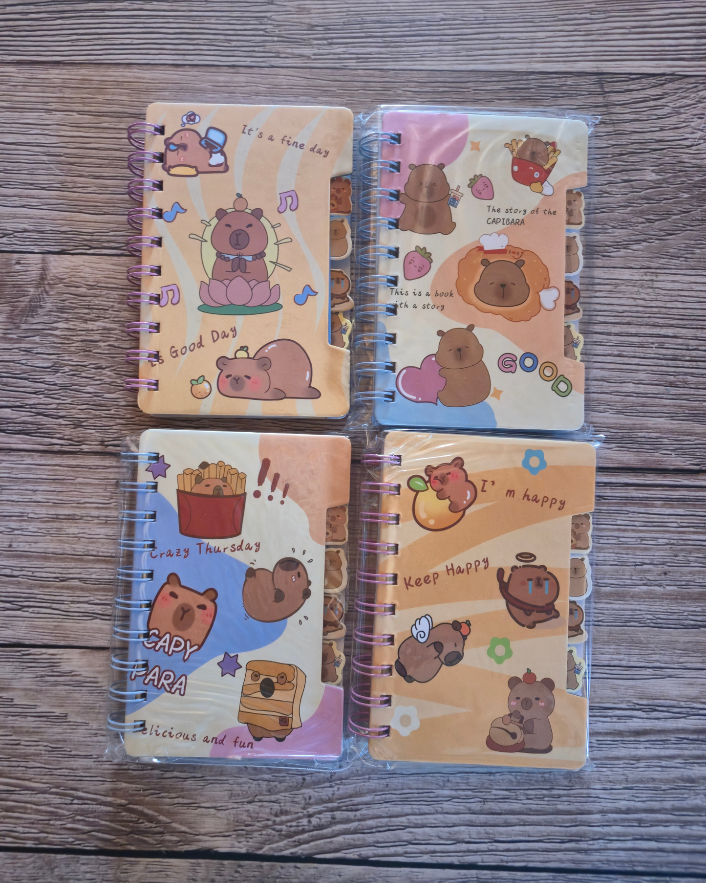 Cappybara A6 Tabbed Notebook- Randomly supplied