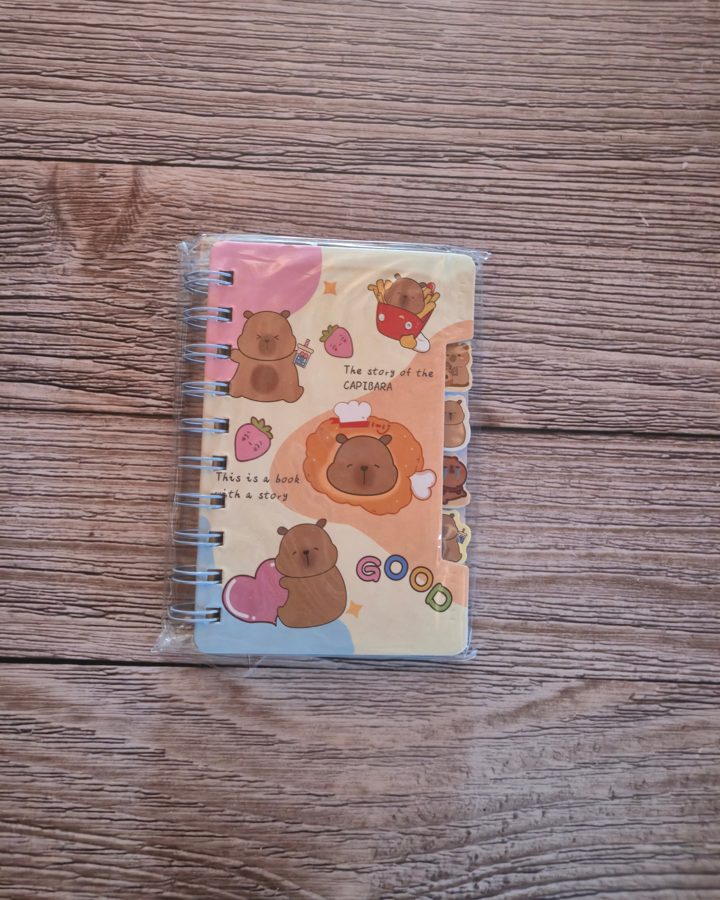 Cappybara A6 Tabbed Notebook- Randomly supplied